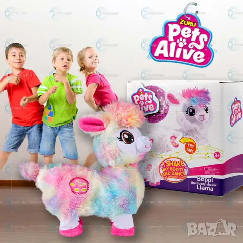 Интерактивна танцуваща лама →
Обява 48314607 Интерактивна танцуваща лама →
Обява 48314607