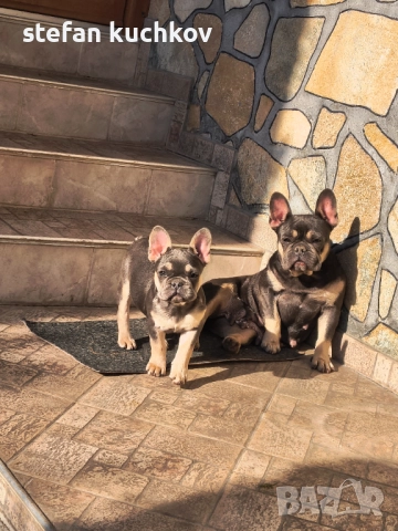 Момиче →
Обява 52421151 Момиче →
Обява 52421151