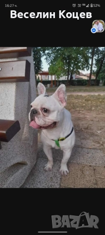 Мъжки френски булдог си търси женска 
                

                гр. Ботевград, София област
                вчера

                                    Договаряне
