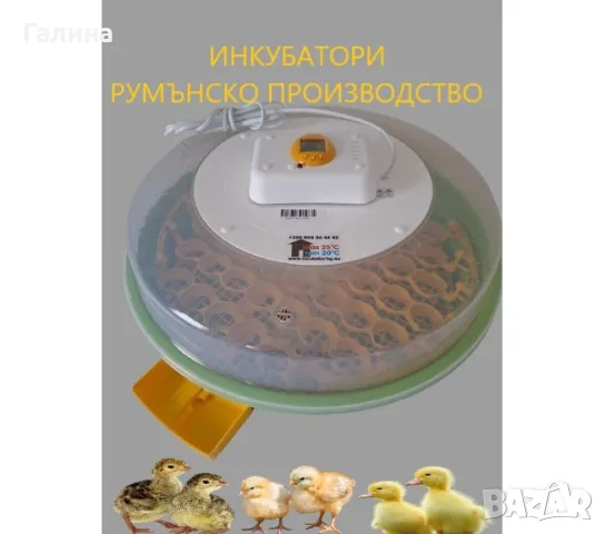 Официалният вносител за БГ.Инкубатори с влагомер и люлка. 2г. ГАРАНЦИЯ →
Обява 28876579 Официалният вносител за БГ.Инкубатори с влагомер и люлка. 2г. ГАРАНЦИЯ →
Обява 28876579