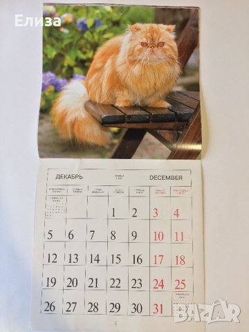 Стенен календар 2011 Котки, снимка 16 - Други - 38776717