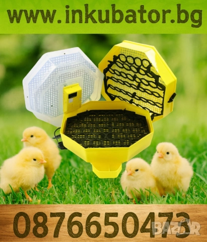 Инкубатори за люпене на пилета →
		Обява 52244222