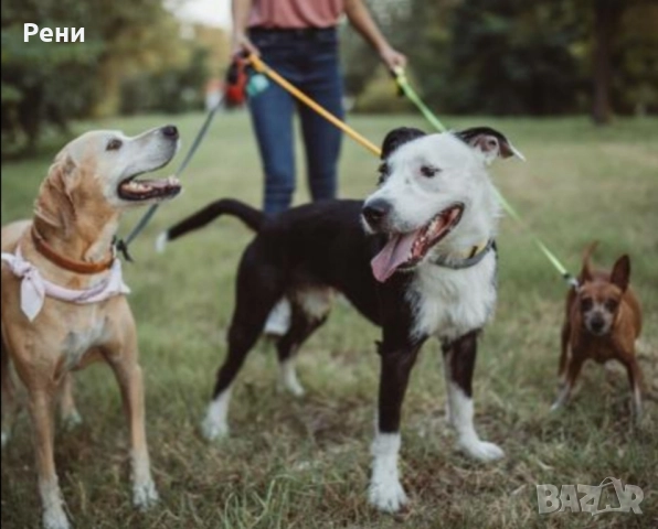 Разходка на кучета-12 лева!
гр. София, Иван Вазов
днес
12 лв
6,14 € Разходка на кучета-12 лева!
гр. София, Иван Вазов
днес
12 лв
6,14 €