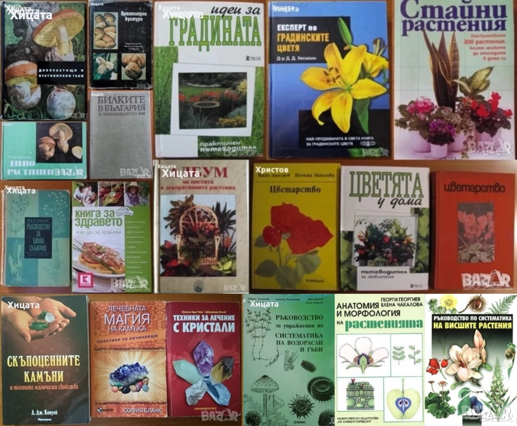 Цветя;Цветарство;Диворастящи и култивирани гъби;Орехоплодни;Камъни,кристали;Билки;Водорасли;Гъби   , снимка 1