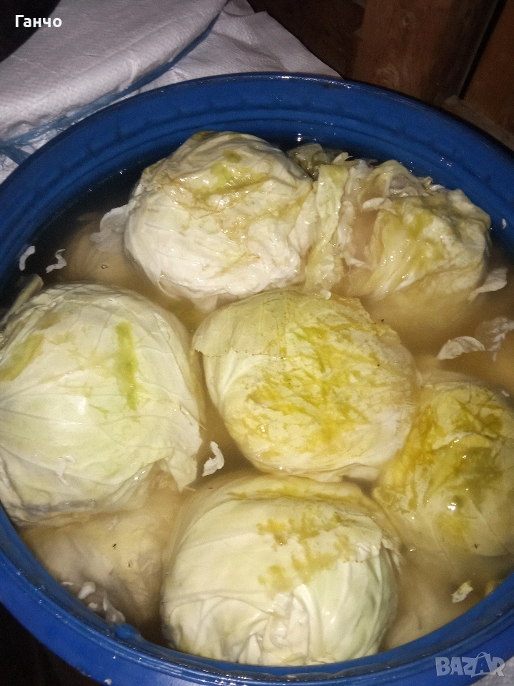 Кисело зеле., снимка 1