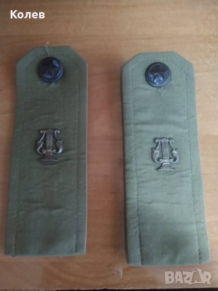 Пагони, снимка 1