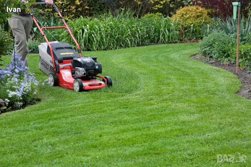 Косене на трева, почистване на дворове, терени, парцели от храсти и дървета - цялата област Варна, снимка 1