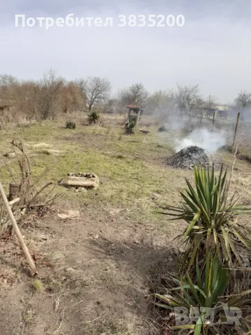 Почистване на дворове , снимка 2 - Други почистващи услуги - 47543826