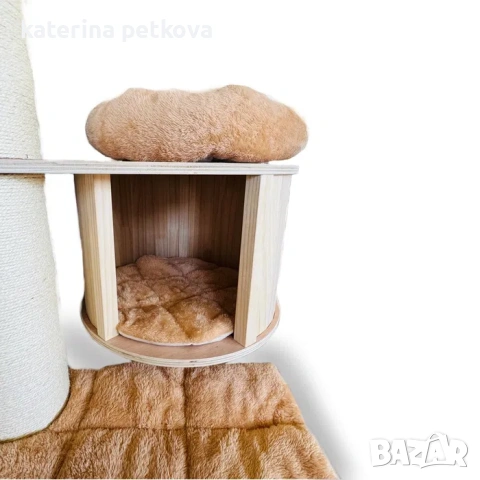 Голяма котешка катерушка - Мейн Куун, снимка 4 - За котки - 53744403