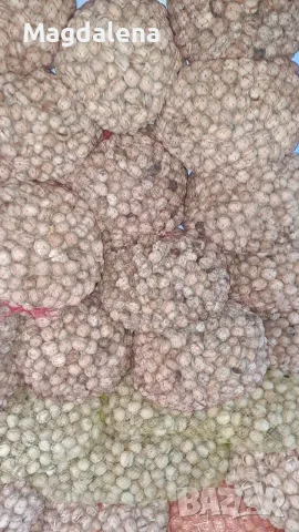 Продавам орехи-нова реколта 2026. , снимка 3 - Домашни продукти - 56370398