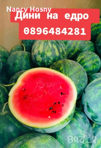 Дини на едро , снимка 1