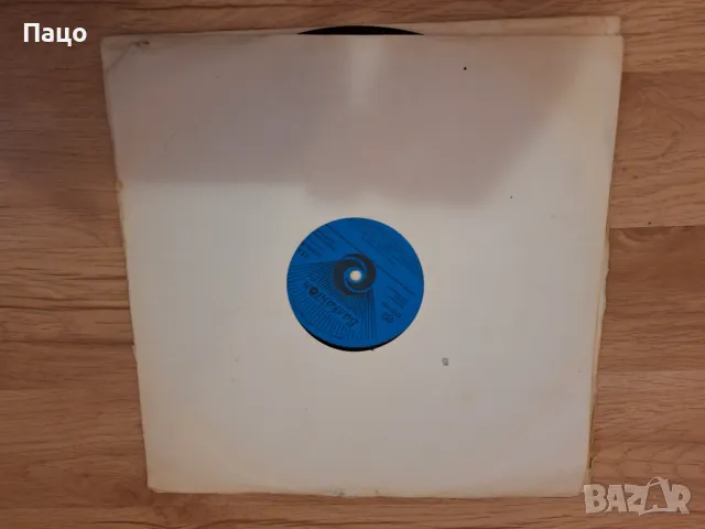 Росица Борджиева, снимка 3 - Грамофонни плочи - 48944237