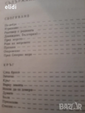 ГРЕШНИЦА ВАНЯ ПЕТКОВА, снимка 3 - Художествена литература - 47178252