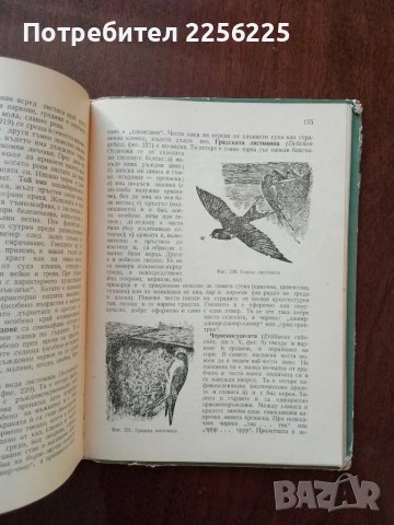 Полска практика по зоология, снимка 6 - Специализирана литература - 50453504