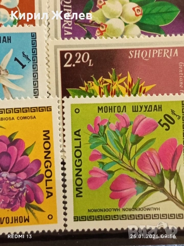 Стари пощенски марки от цял свят без печат ЦВЕТЯ за КОЛЕКЦИЯ 51988, снимка 10 - Филателия - 53217865