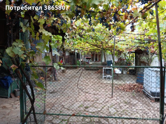 Къща с двор с.Сенник, Севлиево, снимка 18 - Къщи - 42522406