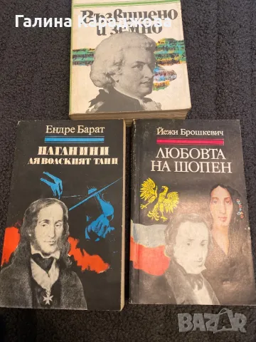 Възвишено и земно Роман за живота и епохата на Моцарт -Дейвид Вайс, снимка 3 - Художествена литература - 50077260
