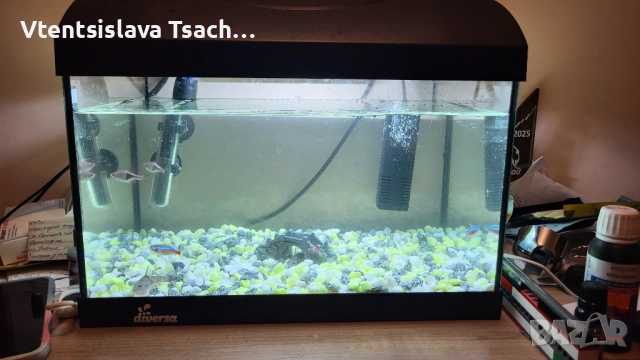 Аквариум за рибки с аератор, лампа, термометър, снимка 2 - Аквариуми - 52556022
