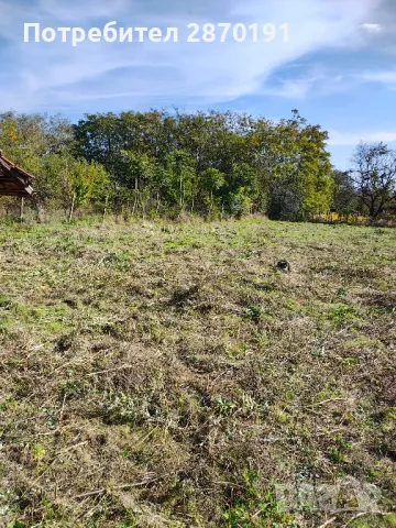 Косене на трева, храсти Подръжка на градини, снимка 10 - Други - 49379936