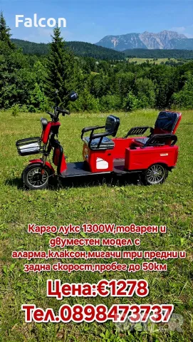 Електрическа триколка А10 карго лукс двуместна товарна