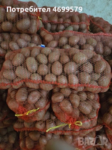 Вкусни картофи от производител , снимка 5 - Домашни продукти - 52976615