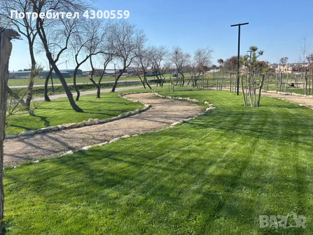 Всякакви градинарски услуги - Варна и областта, снимка 3 - Други услуги - 48232407