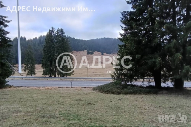 Продава, Земеделска земя, с. Соколовци, обл. Смолян, местност Рожен, снимка 2 - Земеделска земя - 52718709