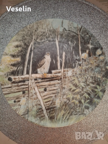 Колекционерски чинии за стена , снимка 4 - Декорация за дома - 51543115