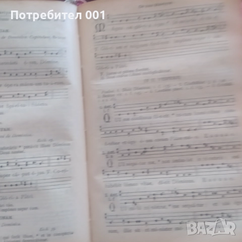 Старинна антикварна книга с химни , снимка 12 - Антикварни и старинни предмети - 52667945