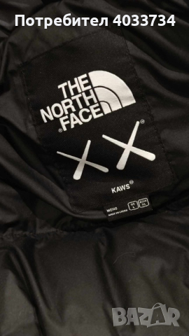 KAWS x The North Face Retro 1996 Nuptse Jacket, снимка 4 - Якета - 44810336