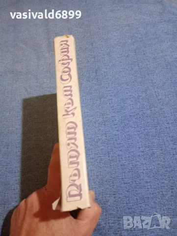 Стефан Дичев - Пътят към София , снимка 2 - Българска литература - 50341798