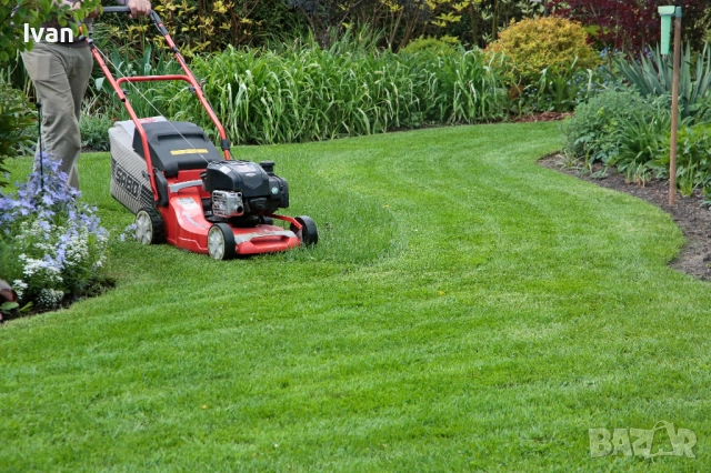 Косене на трева, почистване на дворове, терени, парцели от храсти и дървета - цялата област Варна