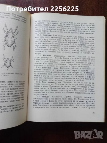 Ръководство по растителна защита за зеленчукопроизводителя, снимка 2 - Специализирана литература - 50611780