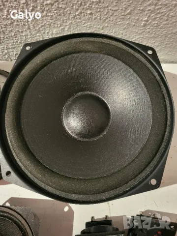 Magnat Monitor B   басови, средночестотни, високочестотни говорители, снимка 2 - Тонколони - 49510181