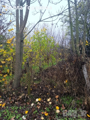 Къща в с.Кайнарджа, снимка 3 - Къщи - 52330498