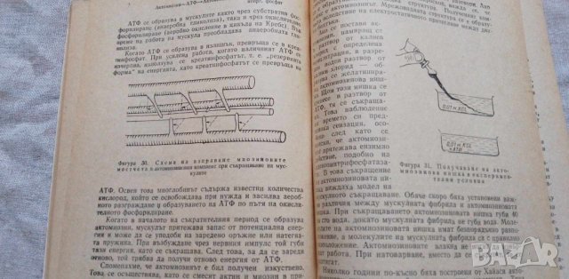 Границите на живота - Иван Иванов, Асен Миланов, снимка 3 - Художествена литература - 42450075