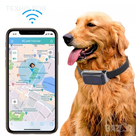 GPS тракер за кучета • Онлайн Обяви • ТОП Цени — Bazar.bg