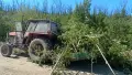 Мулчер шредера услуги , снимка 1