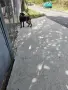 Лагото романьоло , снимка 1