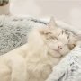 Ново зимно - топло плюшено Легло * Възглавница * Къща *Хралупа * За котка * куче * Размери * Цветове, снимка 8