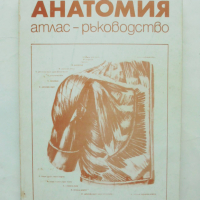 Книга Анатомия. Атлас-ръководство - Тодор Тодоров и др. 1991 г., снимка 1 - Специализирана литература - 44587297