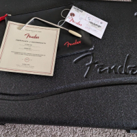 Fender American Pro Stratocaster, снимка 4 - Китари - 44733956