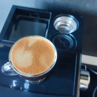 Gaggia Viva Style 1025W Saeco Poemia крема ръкохватка перфектно еспресо , снимка 8 - Кафемашини - 44158280