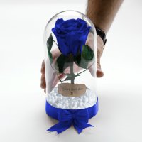 Оригинален Подарък за Жена / Синя Вечна Роза в Стъкленица / Естествена Роза Подарък за Имен Ден, снимка 1 - Други - 34470556