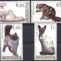 Чисти марки Фауна Котки 2007 от Молдова, снимка 1 - Филателия - 36277898
