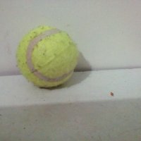 Голяма тенис топка, снимка 1 - Тенис - 41924791