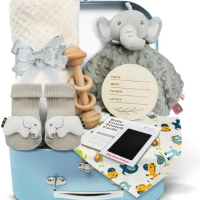 Нов Луксозен Бебешки Подаръчен Комплект за Момче - 9 Елемента за новородено, снимка 1 - Други - 44610993