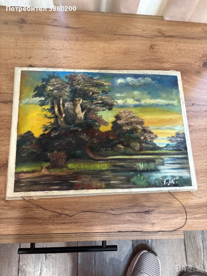 Картина , снимка 1