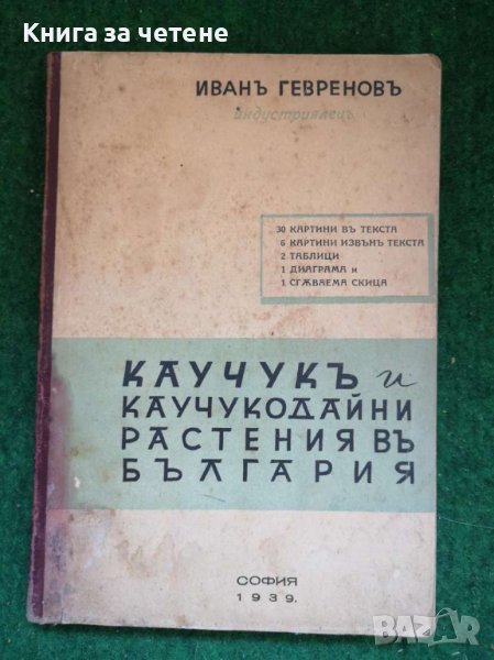 Каучукь и каучукодайни растения вь България, снимка 1
