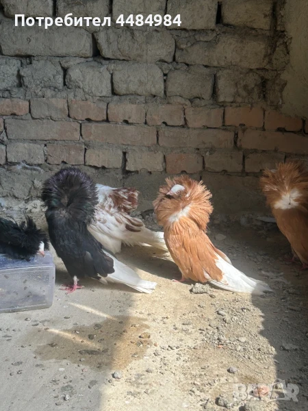 Продавам якалии и фенерлии, снимка 1